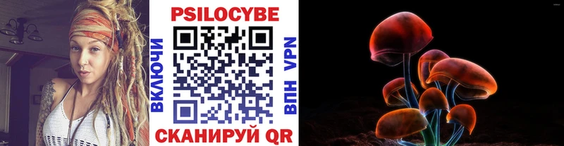 Галлюциногенные грибы MAGIC MUSHROOMS  продажа наркотиков  Краснозаводск 
